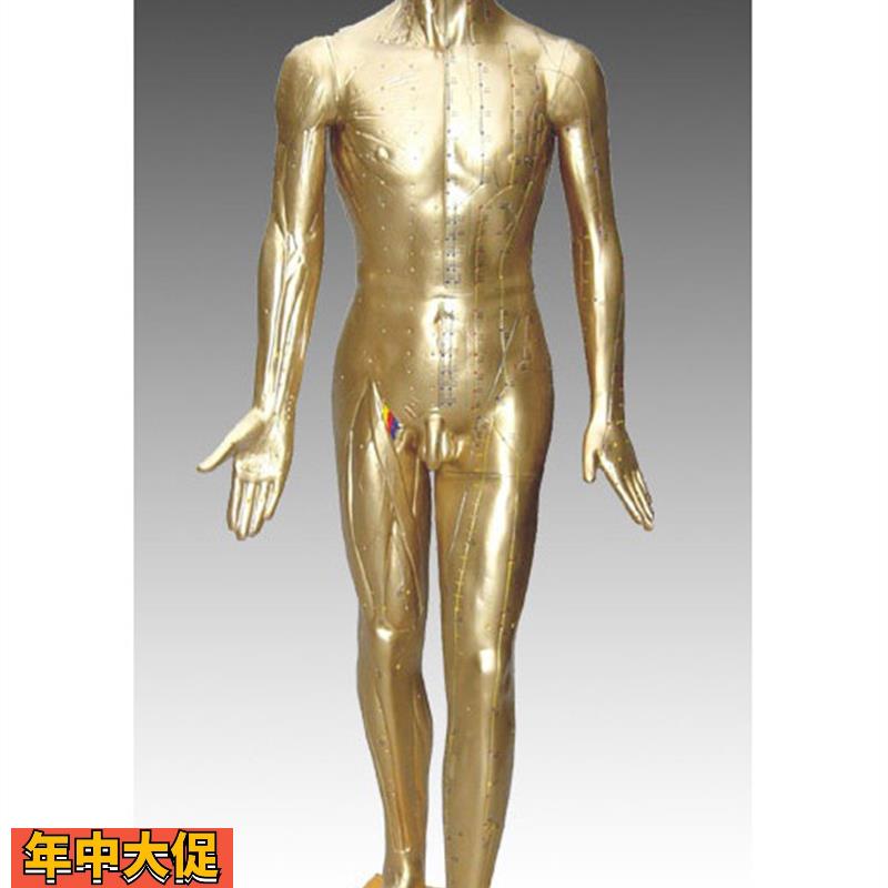 中医标准人体针灸铜人84CM(青铜色)练习假人经络模具穴位橡皮人