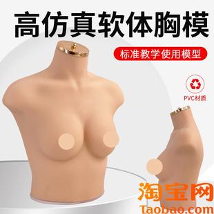 内衣文胸橱窗g展示拍摄道具女半身硅胶软体仿真人模特75B C胸模