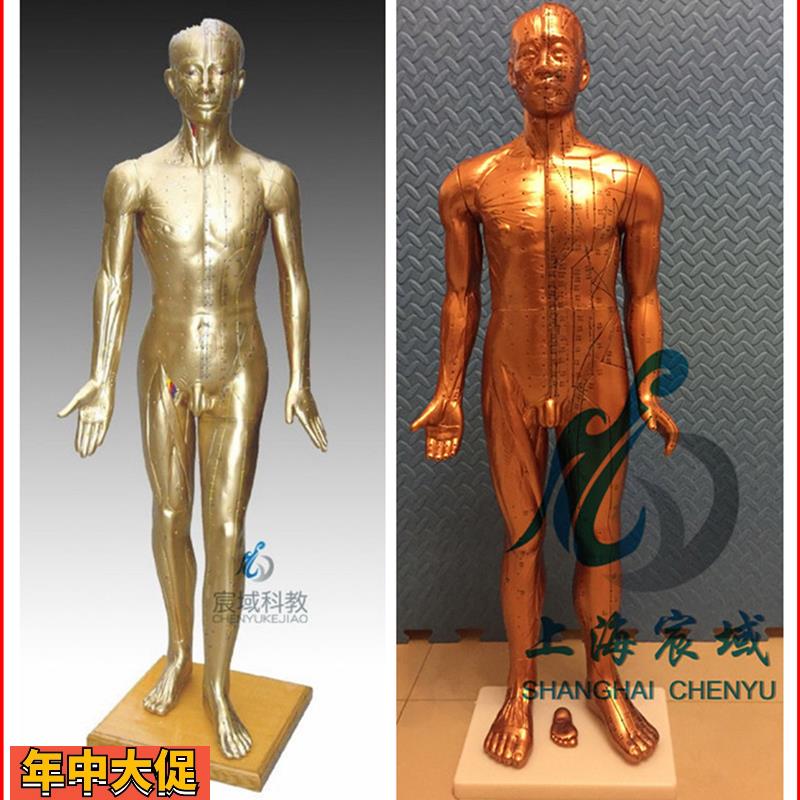 超清晰经络通针灸铜人人体穴位模型中医针灸人模