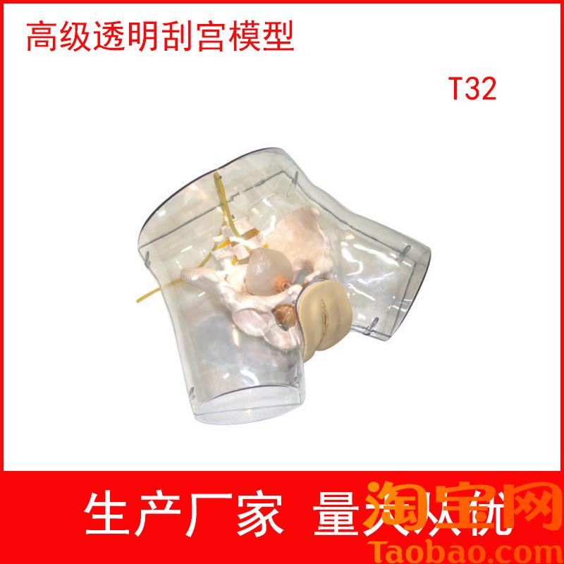 原装适用高级透明刮宫模型女性膀胱冲洗导尿操作模拟人扩宫器放置