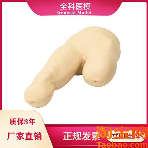 低位包扎b模型腿部下肢截肢病人三角巾包裹训练教学假人体模具LV1