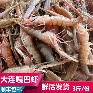 大连海鲜海货新鲜鲜活嘎巴虾夹板虾嘎嘣虾花竹虾鼓虾狗虾3斤装