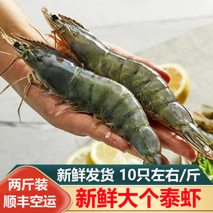 大连海货新鲜大个泰虾海虾速冻大虾过年春节年货送礼礼物海鲜礼盒