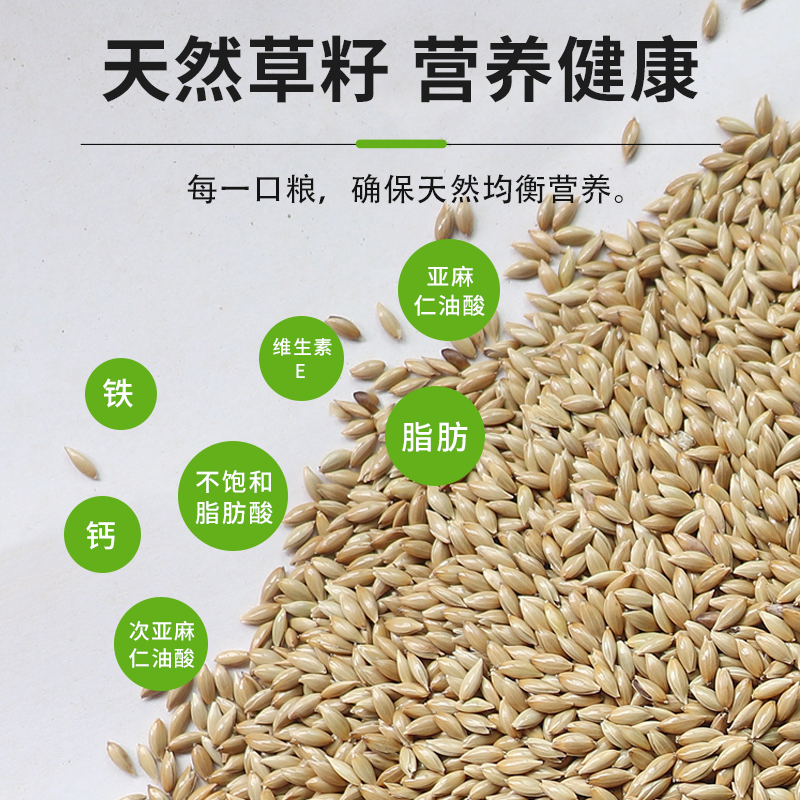 加纳利子鸟食鹦鹉鸟粮饲料虎皮玄风牡丹白尖金丝雀芙蓉黄雀草籽