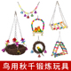 鹦鹉玩具秋千吊桥吊环爬梯牡丹玄凤玩具鸟 吊床虎皮鹦鹉玩具用品