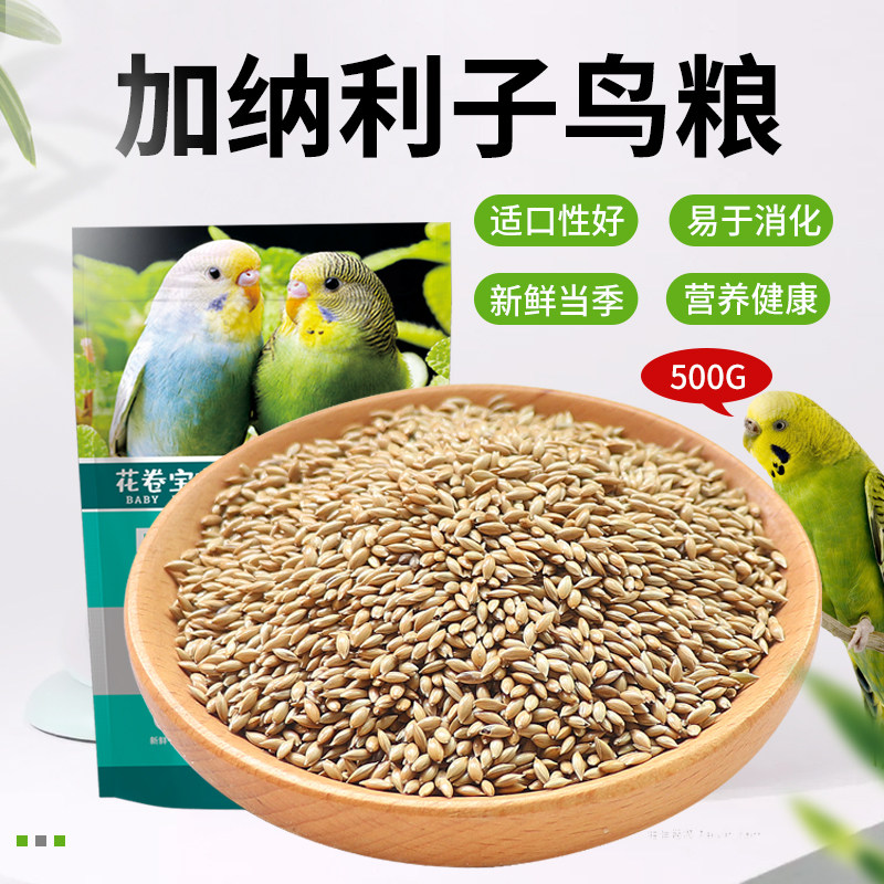 加纳利子草籽营养鸟食