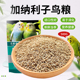 加纳利子鸟食鹦鹉鸟粮饲料虎皮玄风牡丹白尖金丝雀芙蓉黄雀草籽