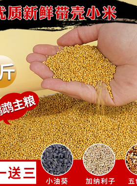 鹦鹉饲料谷子鸟粮黄带壳小米鸟食牡丹虎皮玄凤珍珠文鸟5斤专用粮