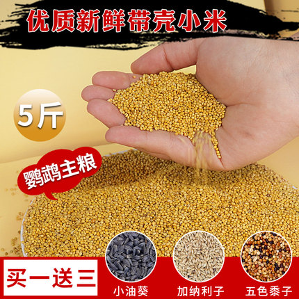 鹦鹉饲料谷子鸟粮黄带壳小米鸟食牡丹虎皮玄凤珍珠文鸟5斤专用粮