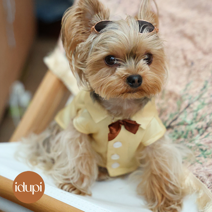 idupi原创品牌春夏轻薄马甲背心