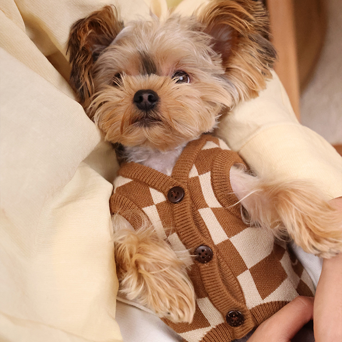 dupi原创初春约克夏马尔济斯背心