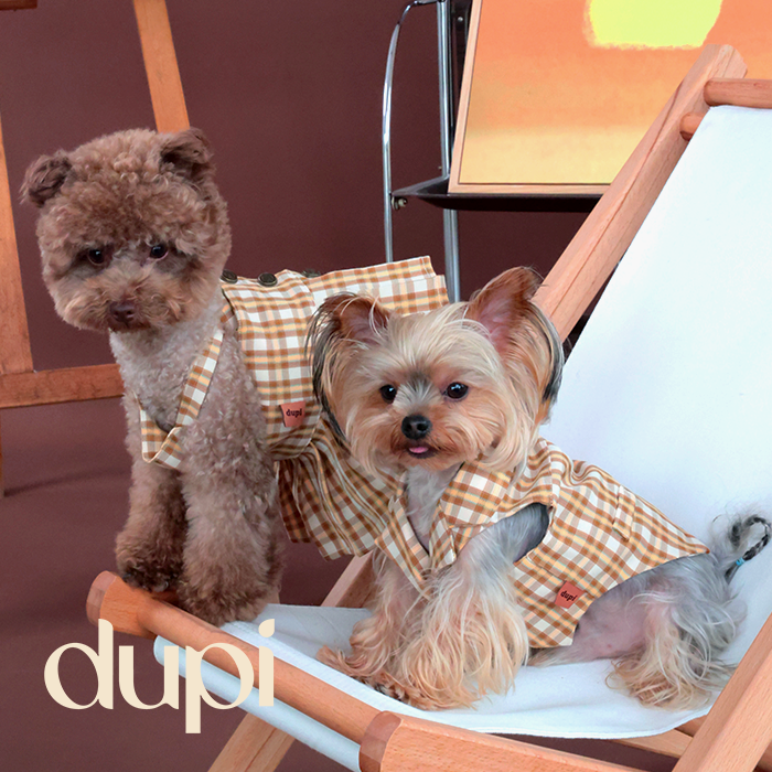 dupi原创英伦风帽子马甲吊带裙