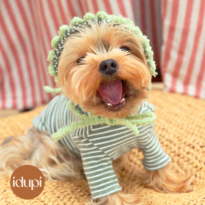 idupi宠物纯棉打底衫小帽子