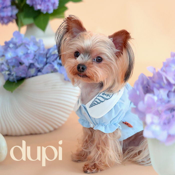 dupi宠物衣服刺绣衬衣