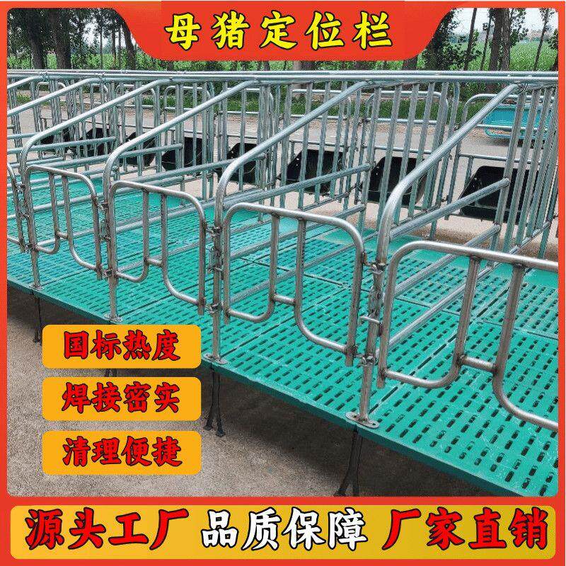 母猪地面猪用加厚限位栏养猪场设备地面猪圈围栏漏粪板设备