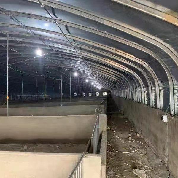高档骨架养殖大棚种植大棚养鸡a棚养猪大棚牛羊棚温室