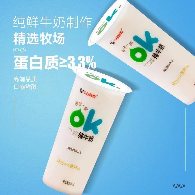 小白鲜牧ok纯牛奶 网红透明杯装 纯鲜牛乳200ml整箱礼盒装