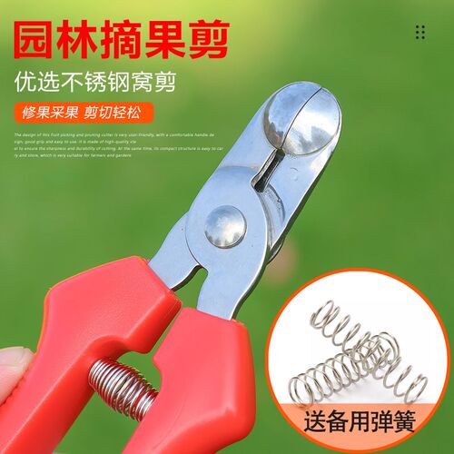 柑橘果树省力果柄剪刀园艺剪采摘修枝剪葡萄不锈钢多功能家用工具