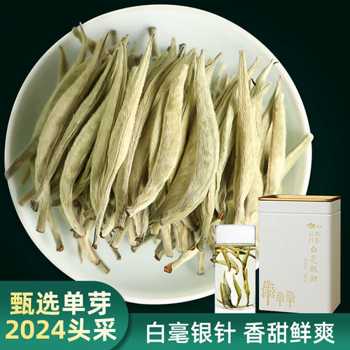 2024新茶首采白毫银针明前
