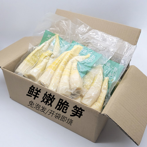 2025新鲜竹笋现挖安吉商用鲜嫩