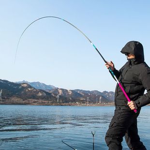 新品 冰蓝粉钓鱼竿手竿超轻超硬28调19调台钓竿鲤鲫鱼竿轻量大物