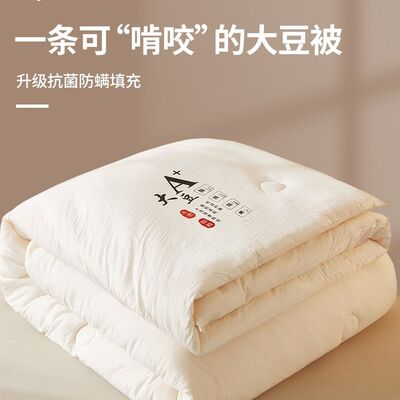 大豆纤维被子冬被加厚棉被芯春秋单人夏凉空调被四季通用
