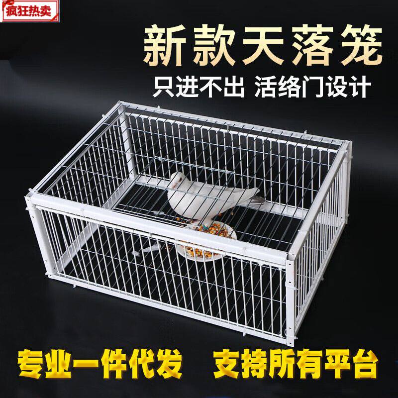 鸽子用品用具鸽子活络门撞门信鸽赛鸽用品加厚加密回笼门鸽具碰门