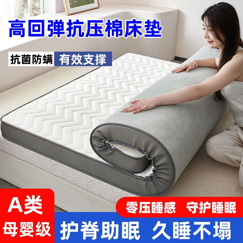 加厚床垫家用双人铺底四季款单人可折叠学生宿舍褥子榻榻米软垫子