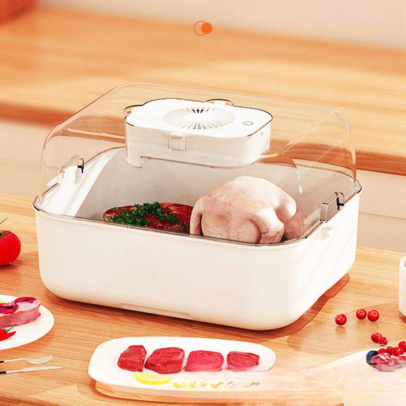 多功能食物解冻器家用保鲜解冻食物快速解冻机肉化冻器解冻板