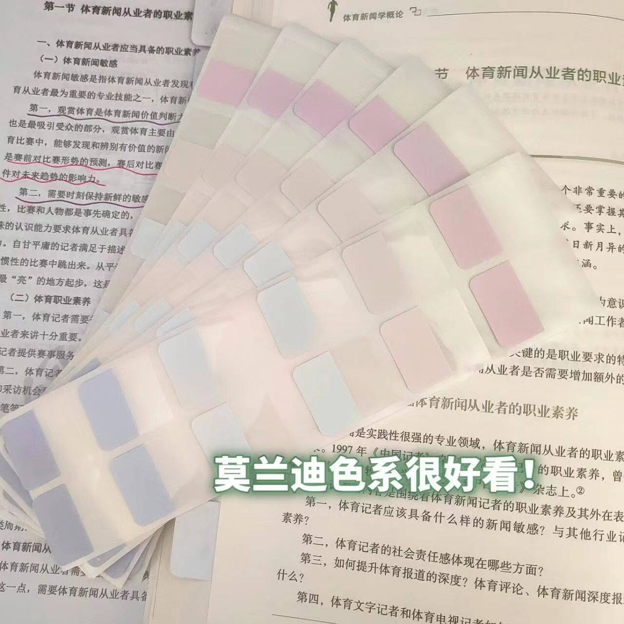 莫兰迪标签纸质索引贴透明便签贴纸活页本目录分类记号标记