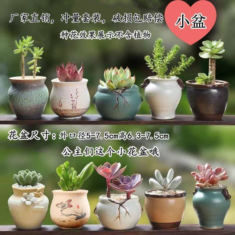 多肉花盆陶瓷粗陶复古简约室内桌面家用肉肉植物创意拇指小花盆器