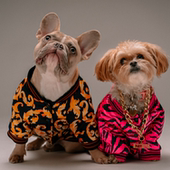 这是一家感情店一分钱素材1