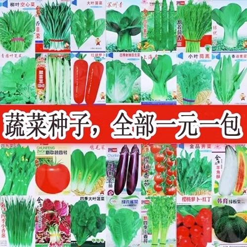 蔬菜种子盆栽阳台绿植物室内外四季农家番茄白萝卜生菠青香韭菜籽,农用物资,育苗/栽培基质,淘宝优惠券,粉丝福利购,淘宝优惠卷