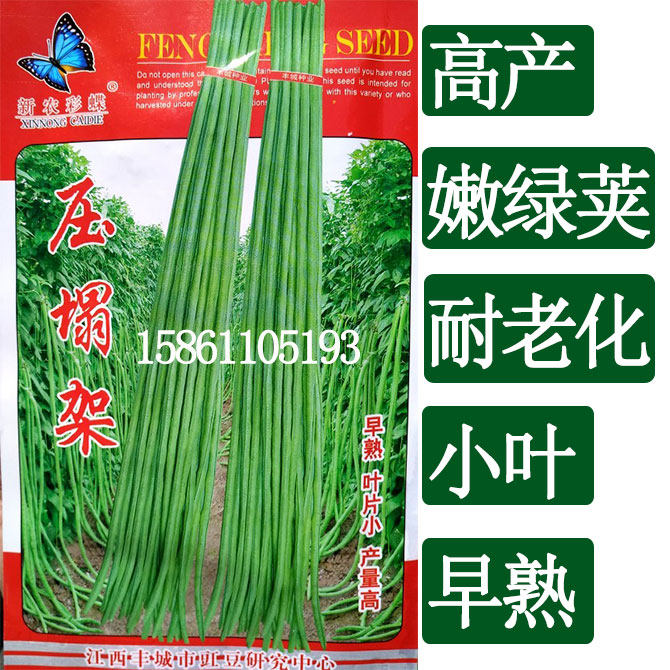 豆角种籽大全子种子四季豆种孑豇豆高产无架长蔬菜籽种菜蔬菜种子,农用物资,育苗/栽培基质,淘宝优惠券,粉丝福利购,淘宝优惠卷