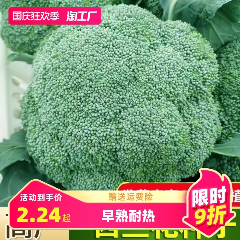 西兰花种孑西蓝花菜种子松花菜种籽花椰菜绿色花菜种四季蔬菜,农用物资,育苗/栽培基质,淘宝优惠券,粉丝福利购,淘宝优惠卷