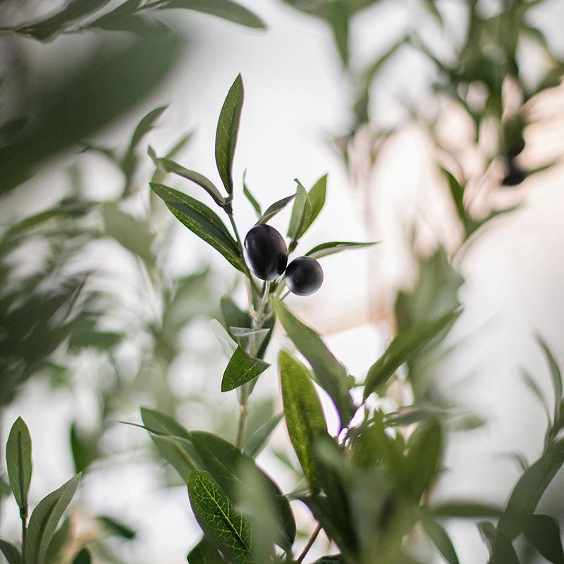 掬涵仿真橄榄树绿植盆景大型植物假盆栽树北欧落地室内装饰摆件