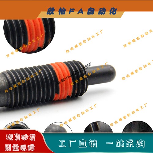 ZAP12弹簧柱塞PJH3/4/5/6/8/10/12-1.5/2/3/4/5/10/15弹顶锁紧销
