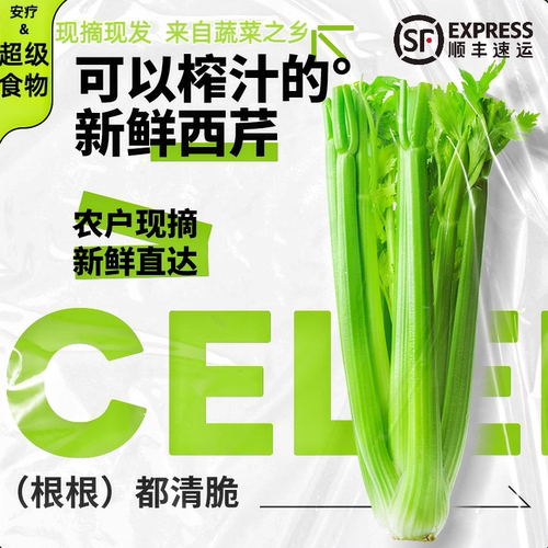 西芹人工精选现摘现发顺丰去叶