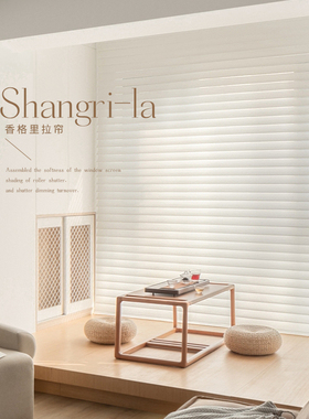 LS香格里拉帘窗帘柔纱帘卷帘百叶窗遮光卧室客厅书房办公室卷拉式