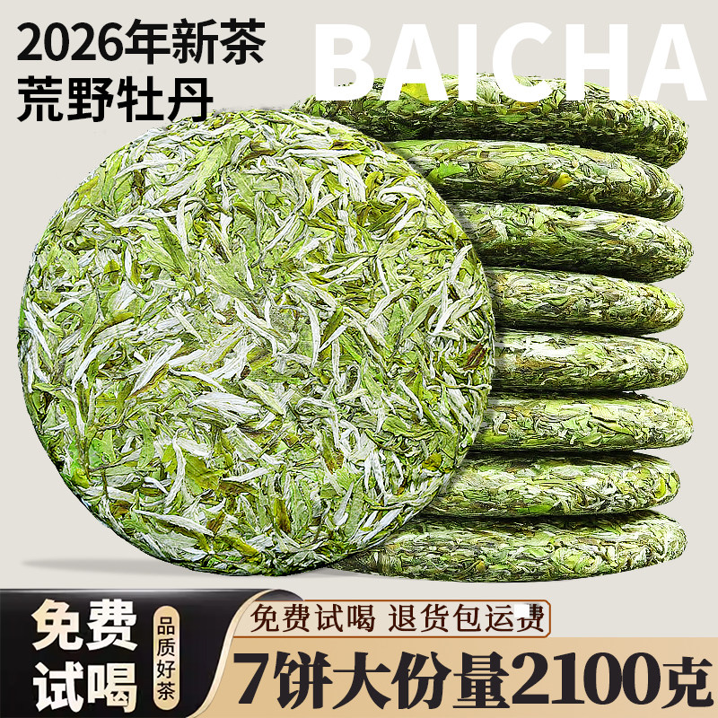 2026年荒野白茶白牡丹茶饼福建福鼎高山明前采摘7饼2100克整提
