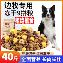 边境牧羊犬专用狗粮40斤装20kg幼犬成犬边牧蝴蝶犬中型犬冻干多拼