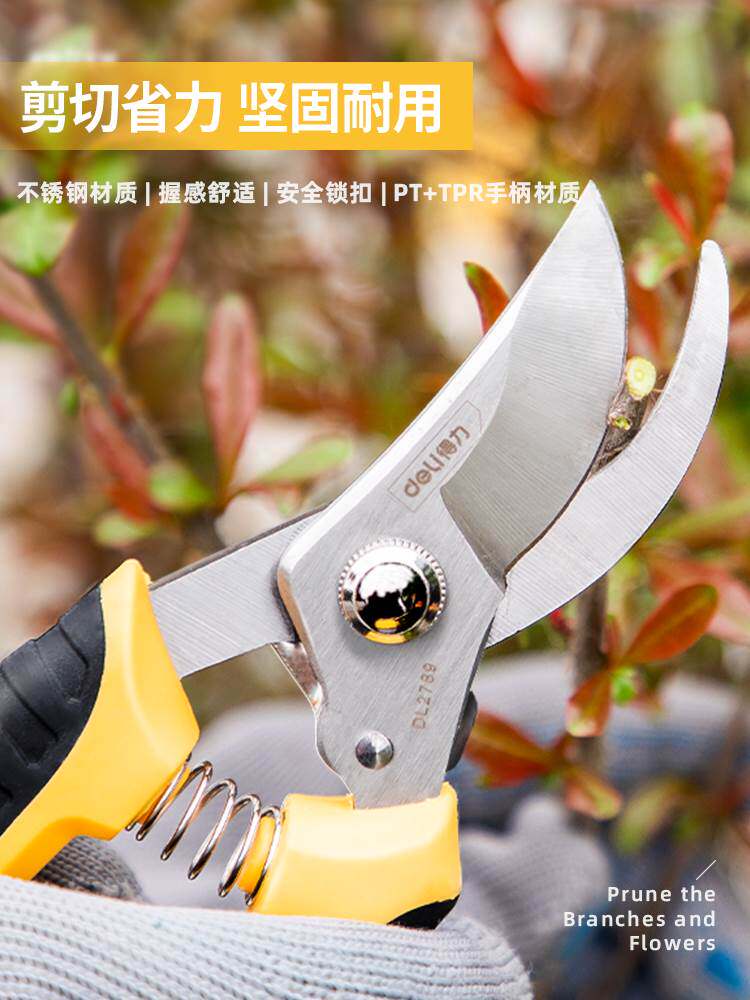 得力园艺剪枝剪刀修枝剪果树不锈钢园林花艺剪子修剪树枝剪刀花剪