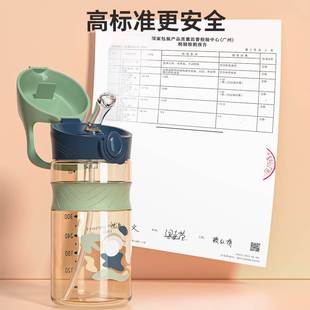 儿童水杯PPSU吸管奶瓶幼儿园外出上学专用大人直饮杯大宝宝喝水壶