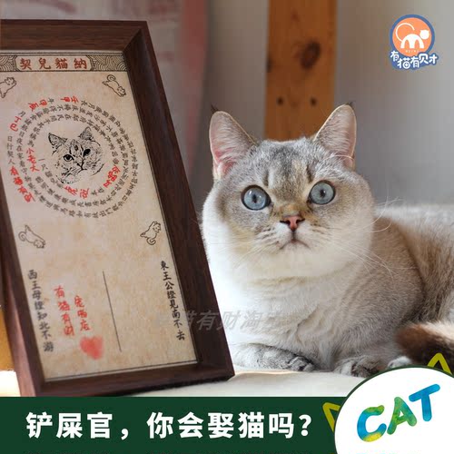 纳猫契约猫奴契约书仿古
