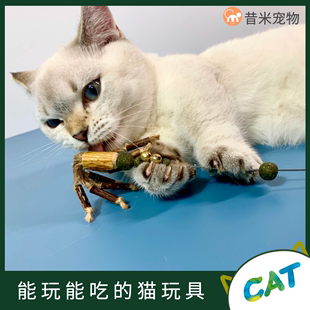 磨牙棒猫木天蓼猫薄荷解闷自嗨洁齿啃咬棒宠物玩具猫咪逗猫棒玩具