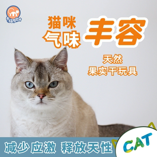 宠物猫咪气味丰容嗅闻松果莲蓬橡果丰荣解闷玩具天然果干自嗨社交