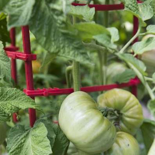 菜园支架包塑管花架西红柿番茄辣椒爬藤架植物茄子露台种菜架子
