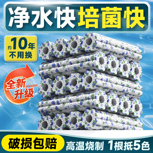 鱼缸过滤材料细菌屋陶瓷环养鱼用品硝化细菌鱼池净水周转箱底滤材