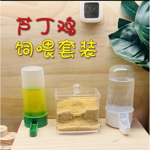 芦丁鸡喂食器喂水器小鸡食盒水壶饲料盒饮水喝水器喂食台食盆再名