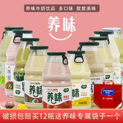 养味果味牛奶6瓶草莓酸奶乳酸菌